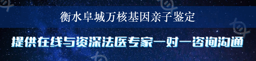 衡水阜城万核基因亲子鉴定